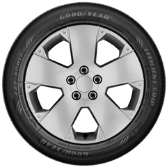 Goodyear 205/55R16 91V Efficientgrip Performance 4 Kanal Yaz Lastigi (2025)